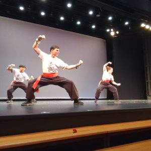 Asian fest Sims auditorium 2025